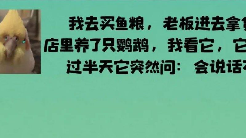 广州曲奇饼干批发市场：探寻优质曲奇的秘密